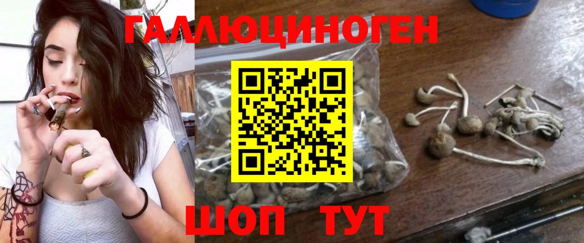 Галлюциногенные грибы Cubensis  Вход с VPN  Орёл 